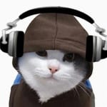 Pilar Montiel avatar